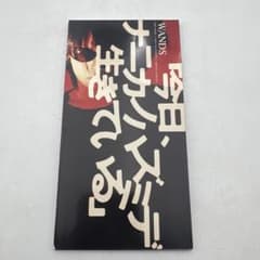 WANDS 今日 ナニカノハズミデ生きている 8cm シングル CD