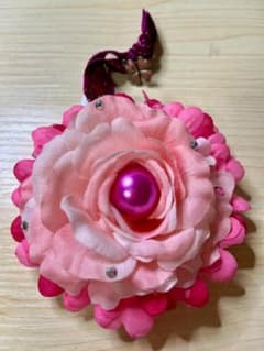 トシ子ちゃん 楽屋ミラー あーりんイメージ ももクロのサムネイル