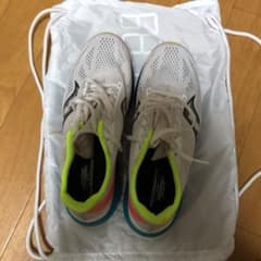 サッカニー　エンドルフィンプロ 26.0㎝のサムネイル