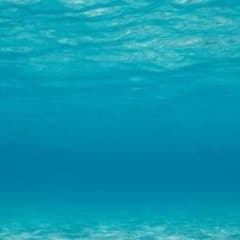 専用のサムネイル
