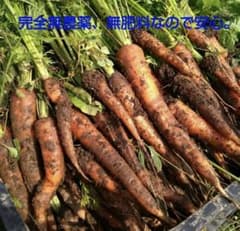自然栽培　人参　10キロ　無農薬　無肥料のサムネイル