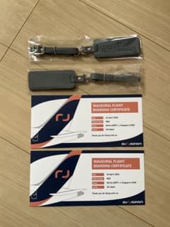 Air Japan 就航初便証明とタグのサムネイル