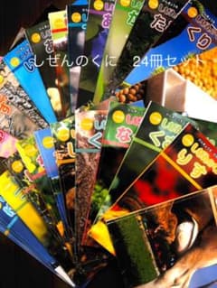 しぜんのくに　絵本　科学絵本　自然絵本　環境のサムネイル