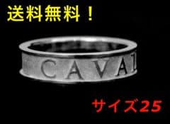シルバーリング　指輪　オシャレリング　CAV-PA-RI10001 パンテオンのサムネイル
