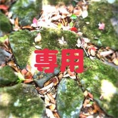 専用ですのサムネイル