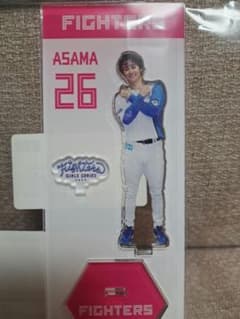 淺間大基選手 2022 ガールズseries アクスタ 日本ハムファイターズのサムネイル