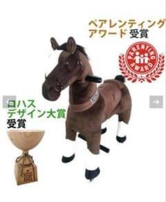 エコポニー　ラングスジャパンのサムネイル