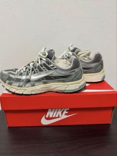 NIKE P-6000 27cm Flat Pewter Y2K 希少サイズのサムネイル