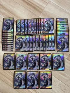 遊戯王 偽骸神龍 Heart-eartH Dragon 中古プロテクター 48枚