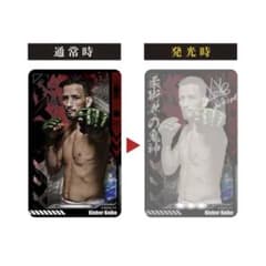 ICカード パスケース RIZIN クレベル・コイケのサムネイル