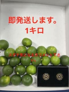 ハウススダチ　家庭用　約1キロのサムネイル