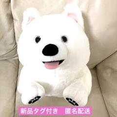 【新品タグ付】FANS　サモエドの子犬　ぬいぐるみXL　プレミアム