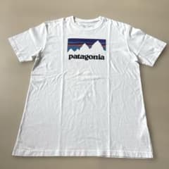 Patagonia パタゴニア Tシャツ Mのサムネイル