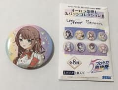 新品 プロセカ 5周年 オーロラ 箔押し 缶バッジ コレクションB 望月