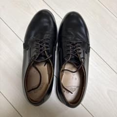 レッドウィング　ポストマンのサムネイル