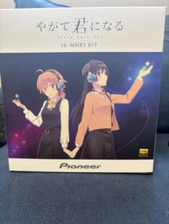 Pioneer SE-MHR5 BIY (Eventually I Will Become You) Headphones