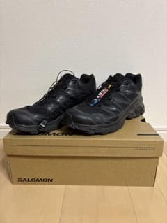 Salomon XT-6 Advanced 27cmのサムネイル