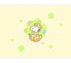 ひろ様専用ですのサムネイル