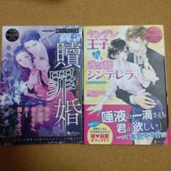 エタニティブックス2冊セット・E - メルカリ