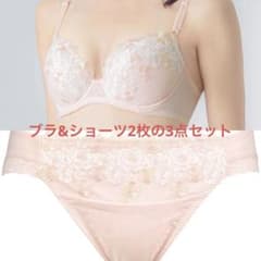 【お値下げ中】９６％がもう一度購入したいラクなのにほどよく盛れる３／４カップブラのサムネイル