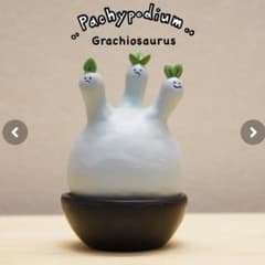 【新品未開封】P.グラキヲサウルス \
