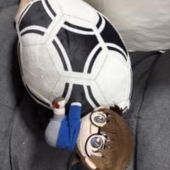 카*응님 명탐정 코난 제일 실험실 에도가와 코난 봉제인형 복권 축구공