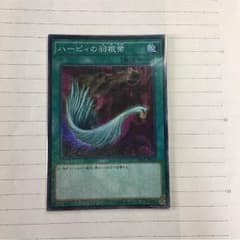 ハーピィーの羽根箒のサムネイル