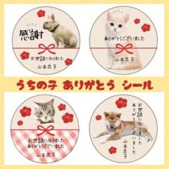 うちの子ありがとうシール　挨拶シール　サンキューシール　ペット　プチギフト　退職のサムネイル