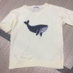 Tシャツのサムネイル