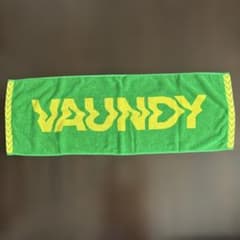 Vaundy バウンディ ドームツアー2026札幌 タオル - メルカリ