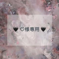 プレインシートのサムネイル
