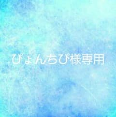 ぴょんちび様専用ページのサムネイル