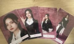 櫻坂46 生写真 浅井恋乃未 5thアニラドレス コンプのサムネイル