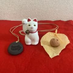 猫さん3種✌︎('ω'✌︎ )のサムネイル