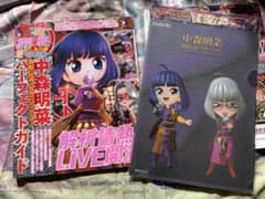 中森明菜　歌姫伝説　クリアファイルセット① 中森明菜 歌姫伝説 パーフェクトガイド デザ菜クリアファイル付き