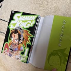 초판 더블 커버 SHAMAN KING 1 권 타케이 히로유키 샤먼 킹