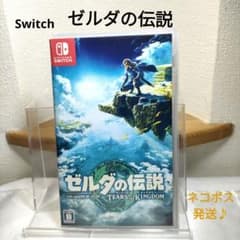 젤다의 전설 티어즈 오브 더 킹덤 Switch