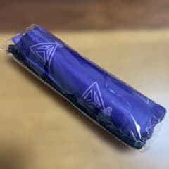 堂本剛 平安神宮 奉納演奏2025 グッズ傘（晴雨兼用） - メルカリ