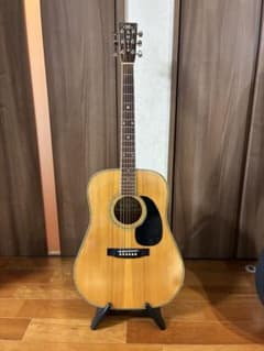 ProMartin w-200 縦ロゴ アコースティックギター - メルカリ