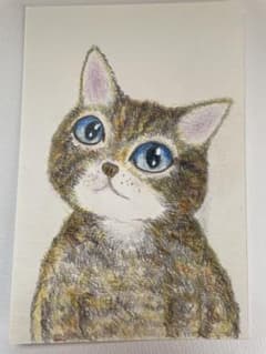 ちょっとすねた猫ちゃん 手描きイラスト青い瞳のキジトラのサムネイル