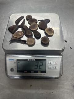 エゾ鹿　鹿茸　32gのサムネイル