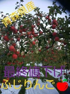 ふじりんごのサムネイル
