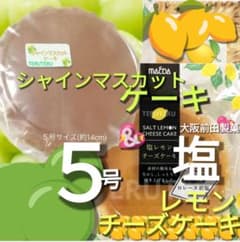 ②✅샤인 무스카트 케이크 ⭐️소금 레몬 치즈 케이크 정규품 5호 아울렛