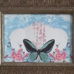 PALICE様 専用ですのサムネイル
