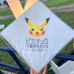 [비매품] 피카츄 대량 발생 주 2018 레저 시트
