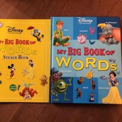 Disney English System Words DWE