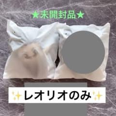HUNTER×HUNTER 헌터 헌터 치비 봉제인형 곤 레오리오