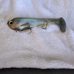 スイムベイト グリーン・シルバー 約15cm - メルカリ