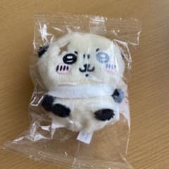 ラッコ先輩　ガチャガチャのサムネイル