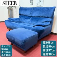東京23区送料無料　美品レイコジャパンファブリックソファー　リンサークリーナ洗浄 東京23区送料無料 美品レイコジャパンファブリックソファー リンサー